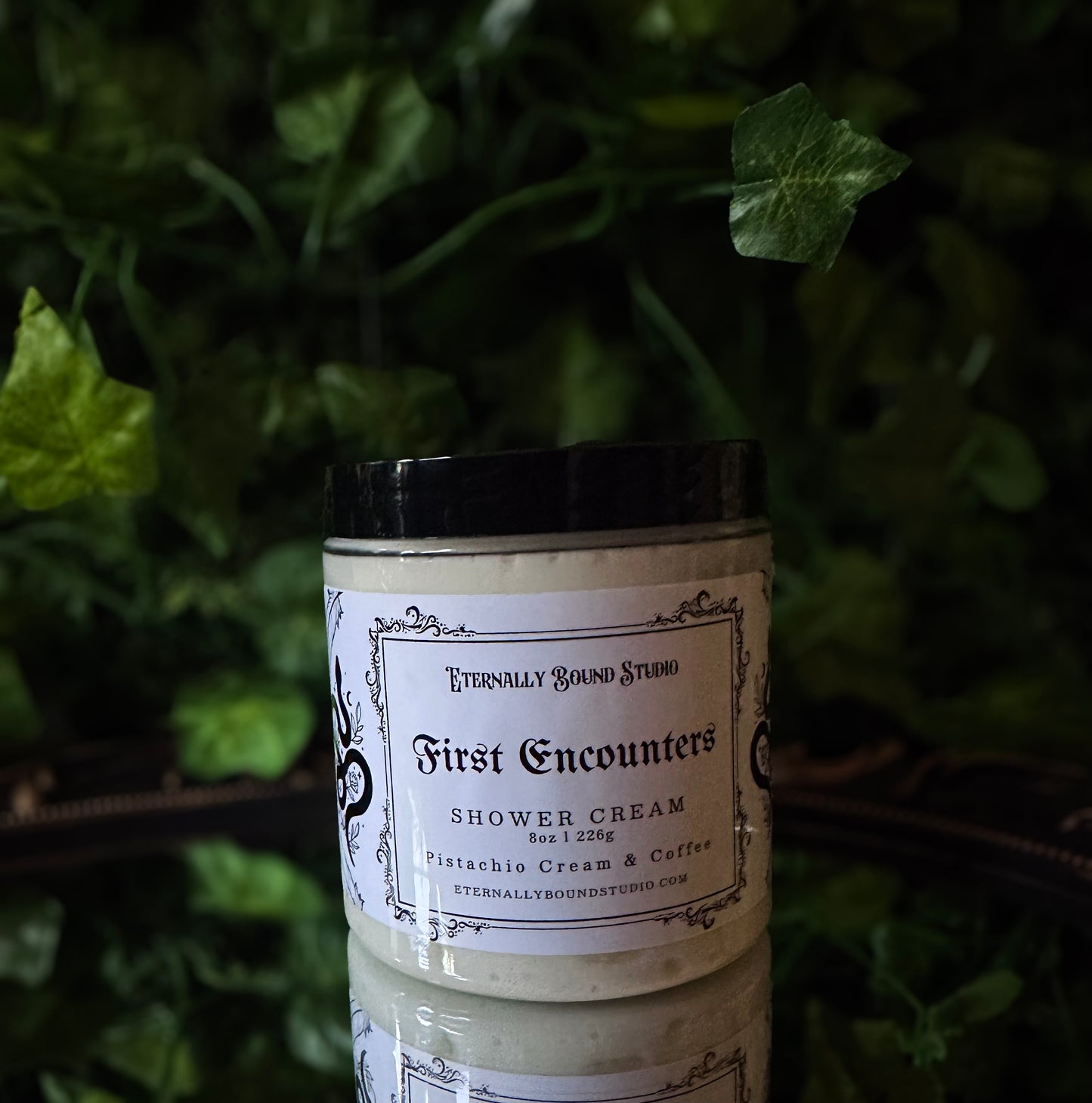 First Encounters (Spring 2025) Bundle